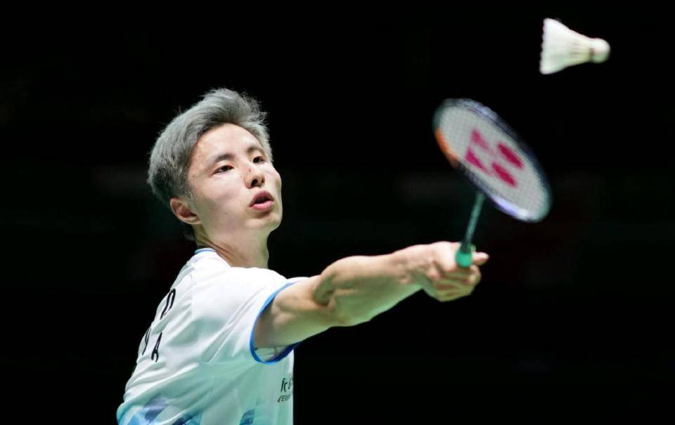 极大关注 极大关注